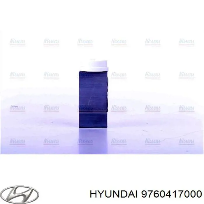 9760417000 Hyundai/Kia válvula de expansión, aire acondicionado