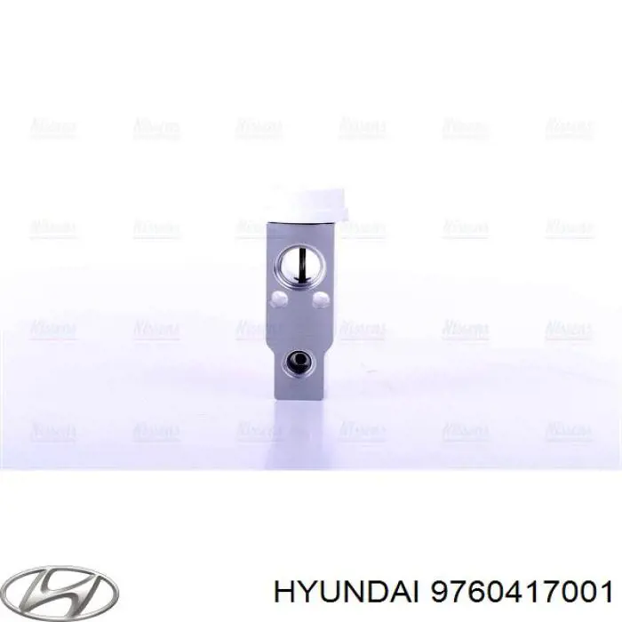 9760417001 Hyundai/Kia válvula de expansión, aire acondicionado