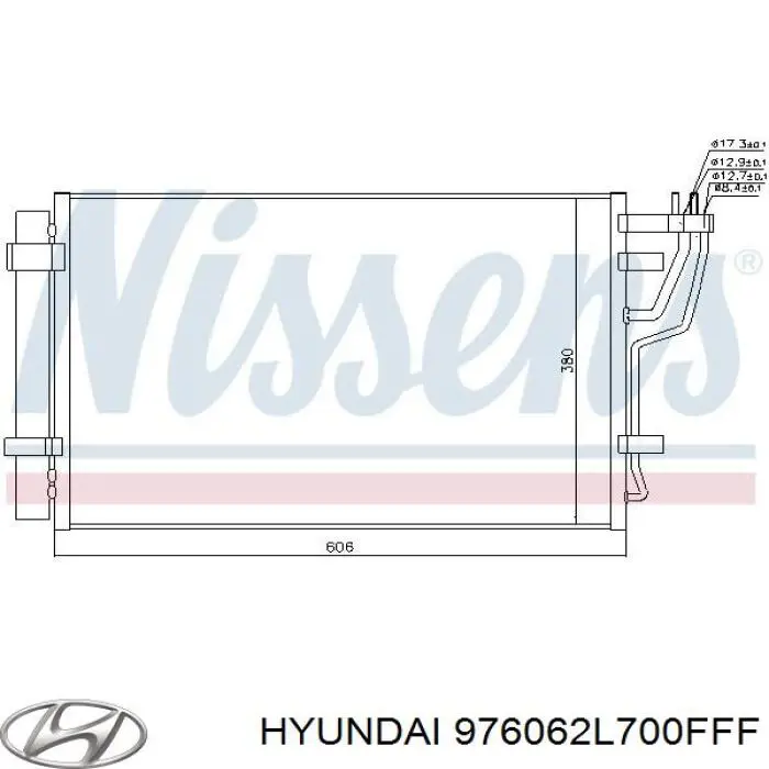 976062L700FFF Hyundai/Kia