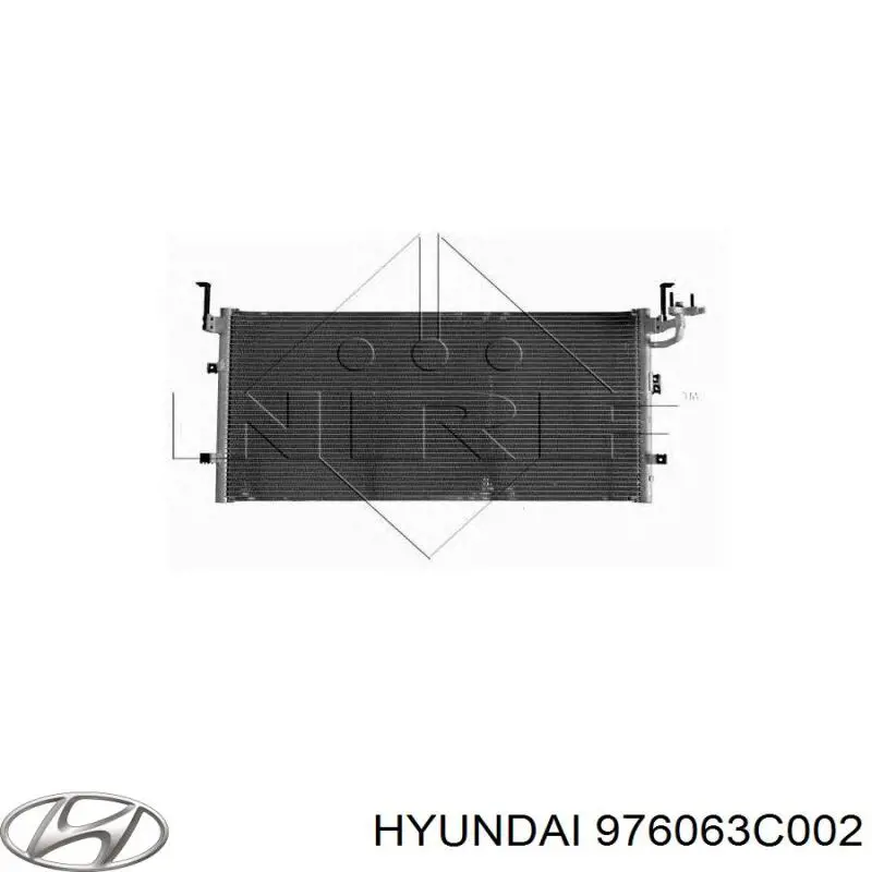 976063C002 Hyundai/Kia