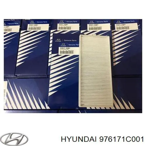 976171C001 Hyundai/Kia filtro habitáculo