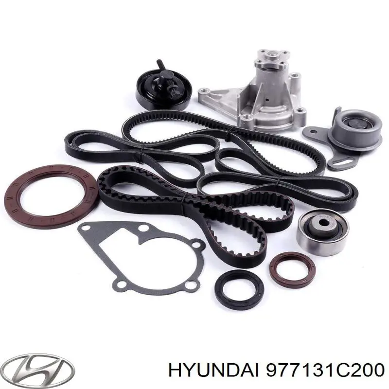 Correa accesorios Hyundai/Kia 977131C200