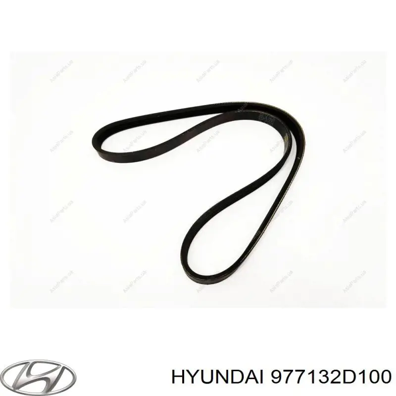 Correa accesorios Hyundai/Kia 977132D100
