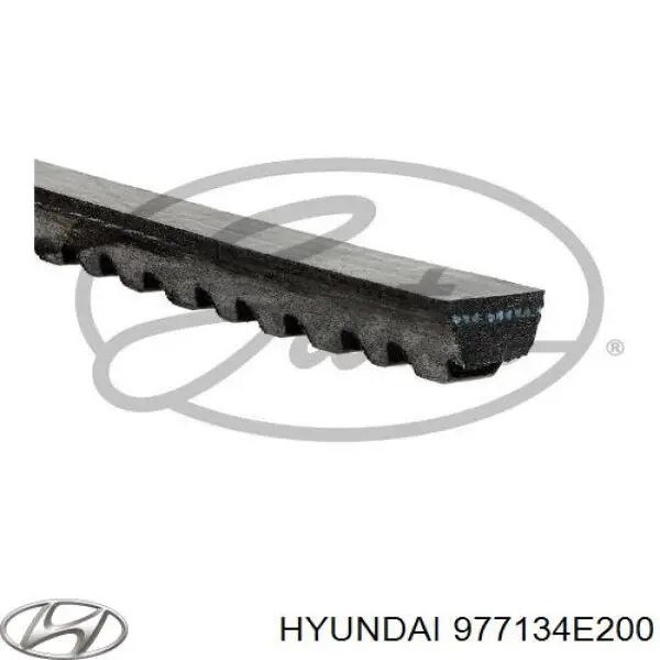 977134E200 Hyundai/Kia correa trapezoidal