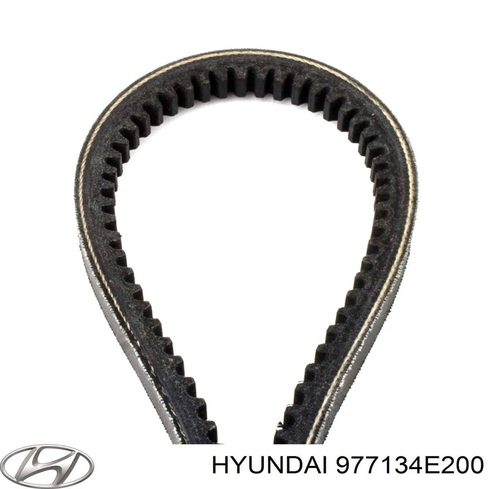 977134E200 Hyundai/Kia Correa poly v