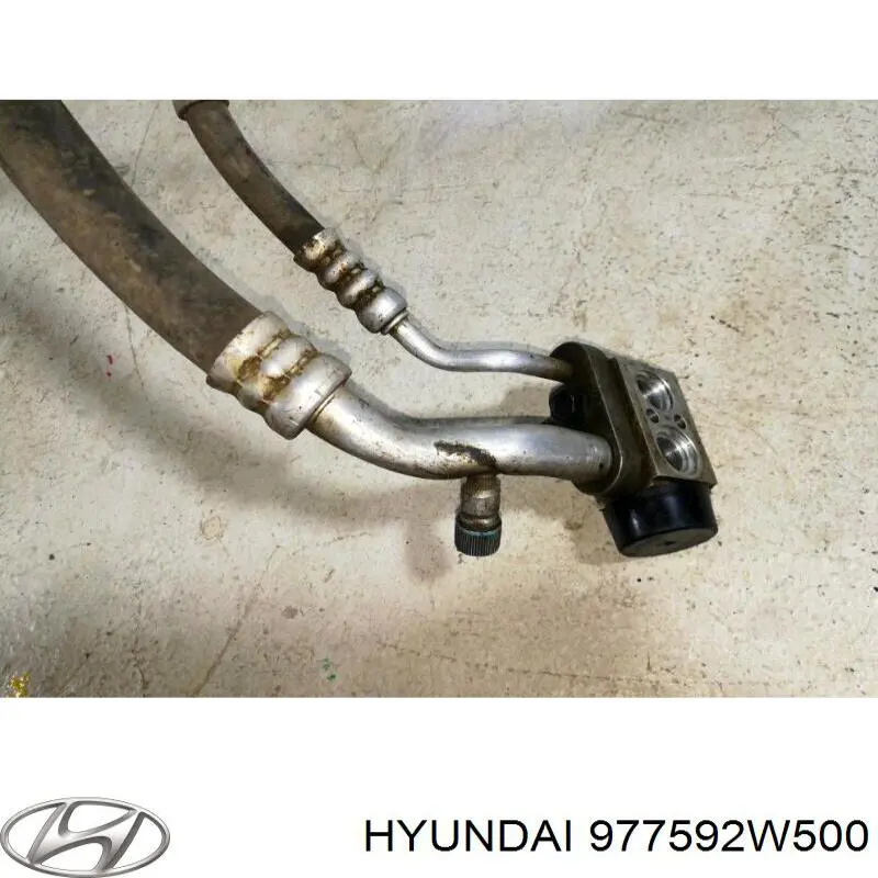 977592W500 Hyundai/Kia