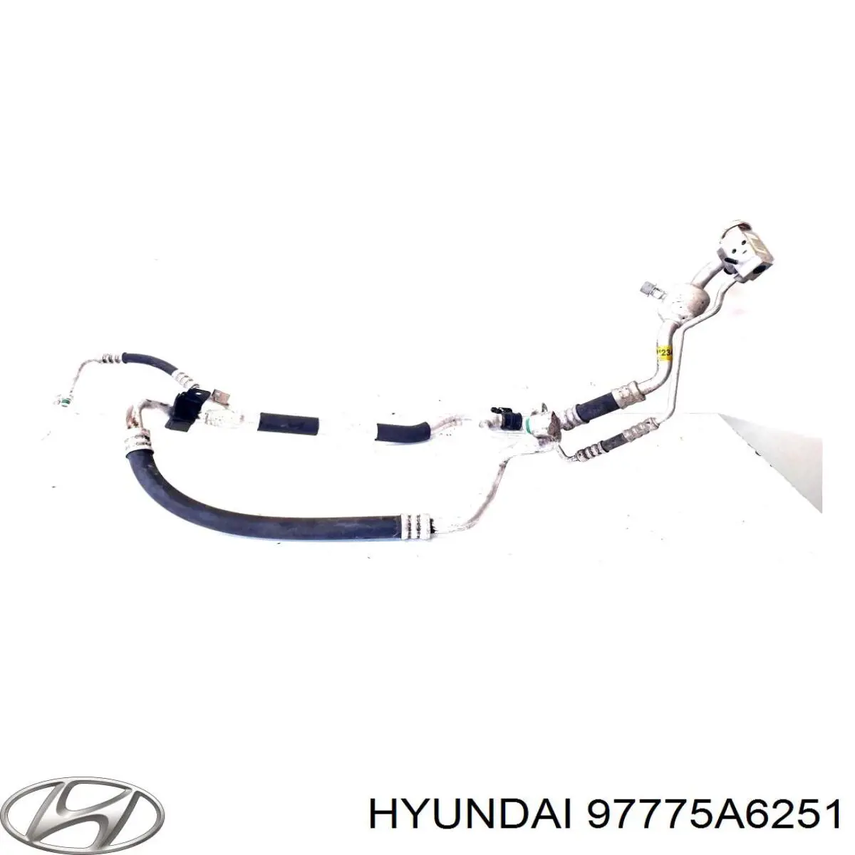 97775A6251 Hyundai/Kia