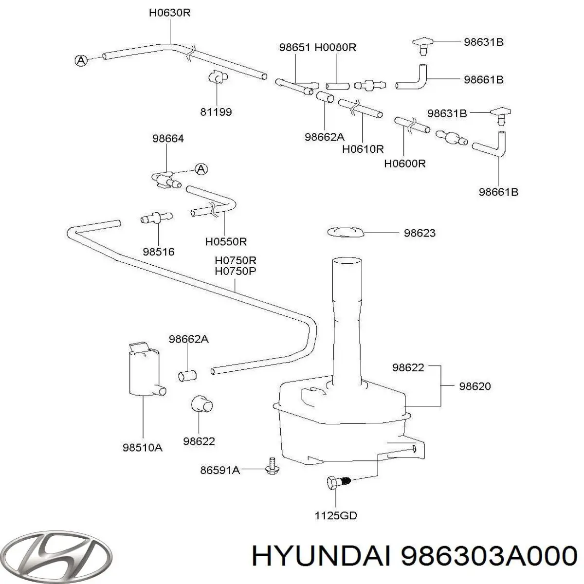 Tobera de agua regadora, lavado de parabrisas para Hyundai Trajet (FO)