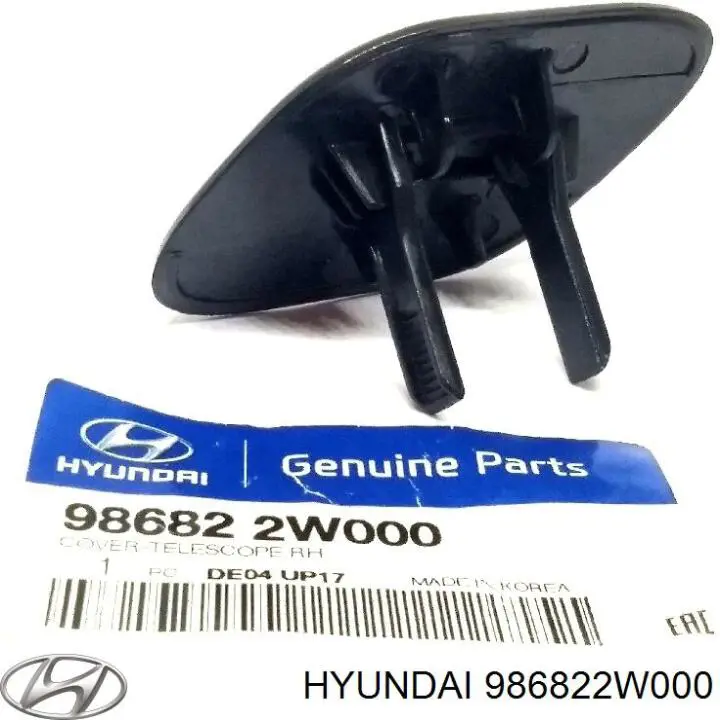 Cubierta de la boquilla del lavafaros para Hyundai Santa Fe (DM)