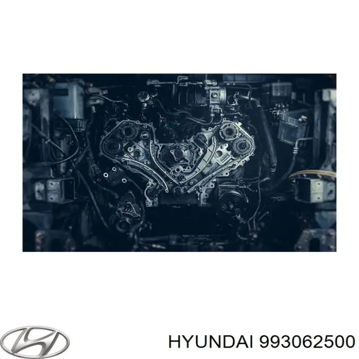 Comprar 993062500 Hyundai/Kia Tapon culata