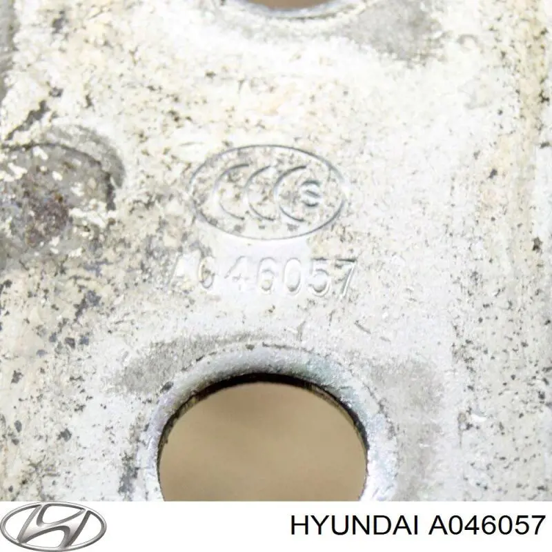 A046057 Hyundai/Kia Bisagra de puerta delantera izquierda