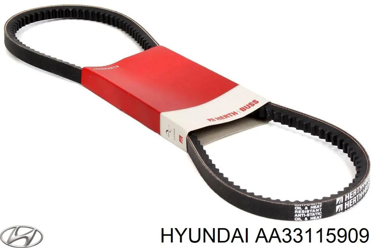 AA33115909 Hyundai/Kia correa trapezoidal