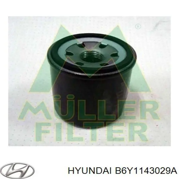 B6Y1143029A Hyundai/Kia filtro de aceite