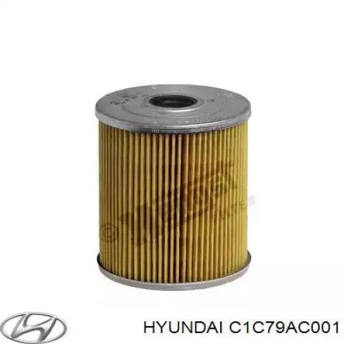 C1C79AC001 Hyundai/Kia