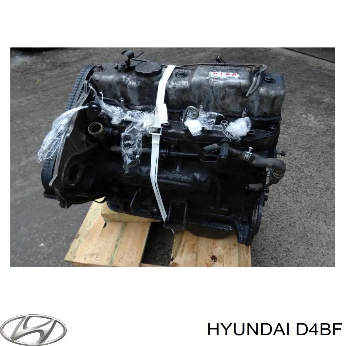 D4BF Hyundai/Kia Motor completo