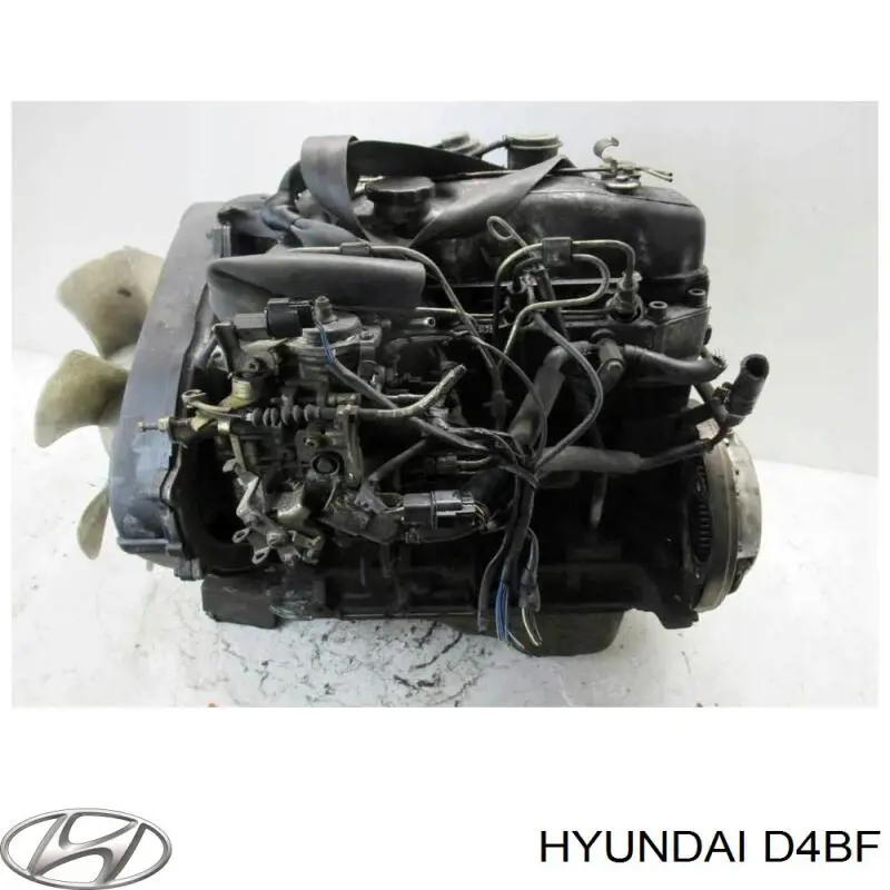 Motor completo Hyundai/Kia D4BF precio, desde 2353,69 EUR