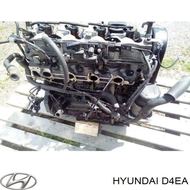 Motor ensamblado KIA Sportage II