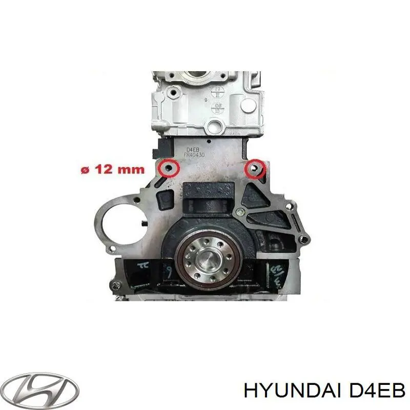 Comprar D4EB Hyundai/Kia Motor completo