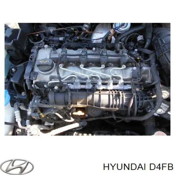D4FB Hyundai/Kia motor completo