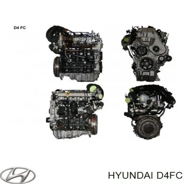  Motor completo KIA Rio 4