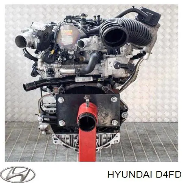 D4FD Hyundai/Kia motor completo