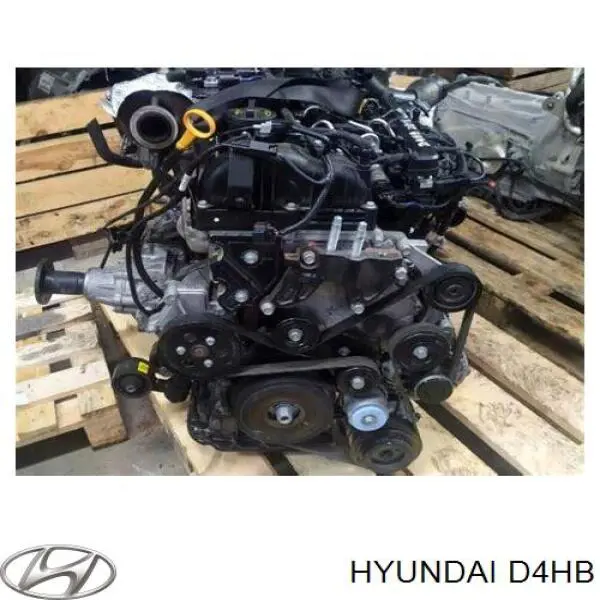 Motor completo D4HB Hyundai/Kia