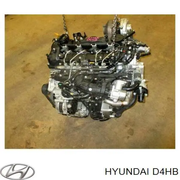 Comprar Motor completo KIA Carnival III VQ