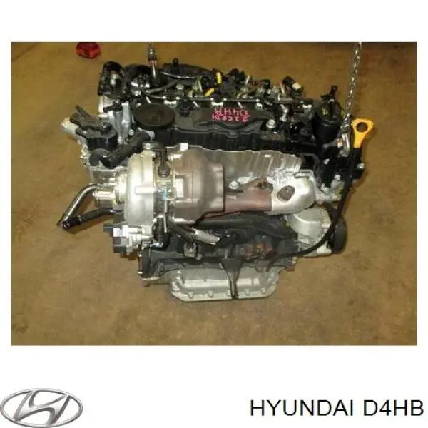  Motor completo KIA Carnival 3