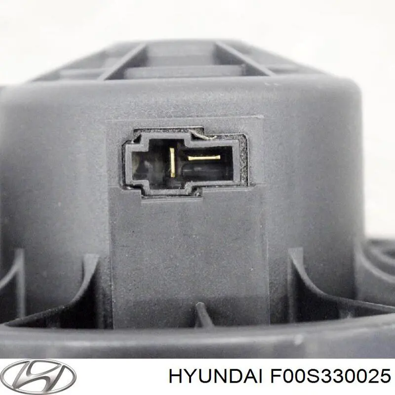  F00S330025 Hyundai/Kia