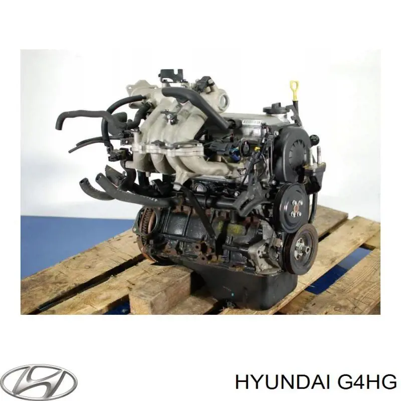 G4HG Hyundai/Kia Motor completo