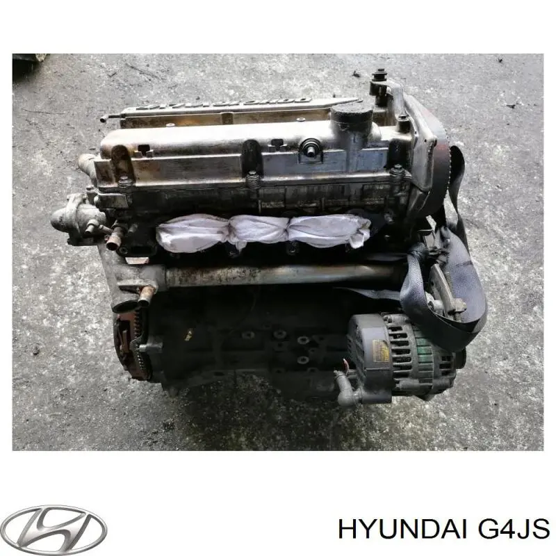 G4JS Hyundai/Kia Motor completo