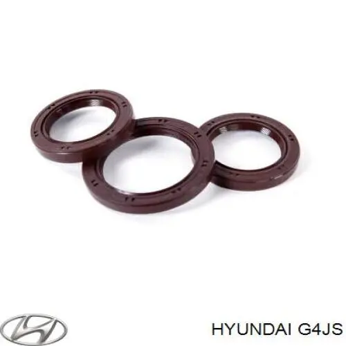 G4JS Hyundai/Kia motor completo