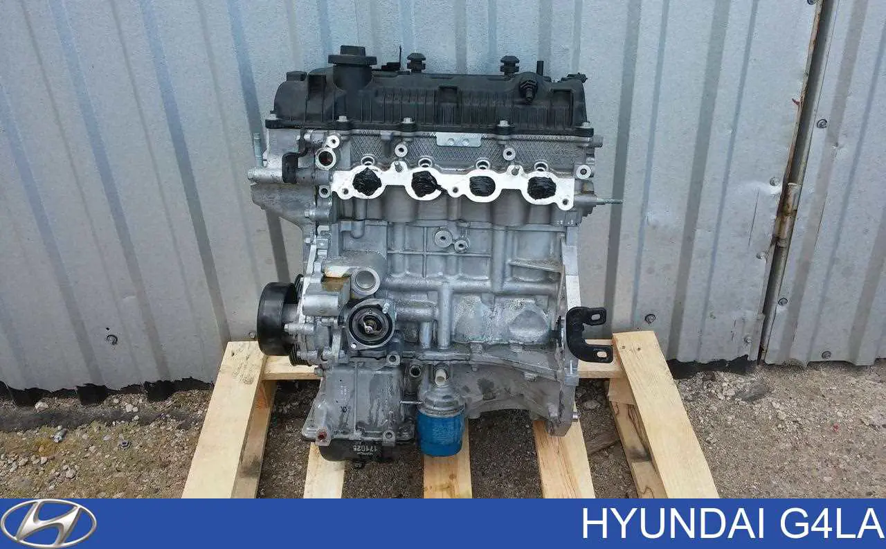 G4LA Hyundai/Kia Motor completo