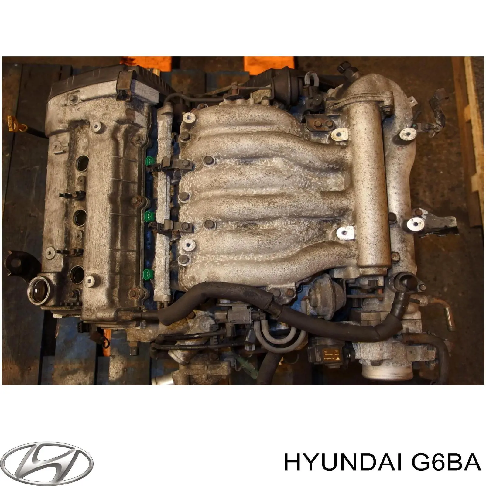 Comprar G6BA Hyundai/Kia Motor completo