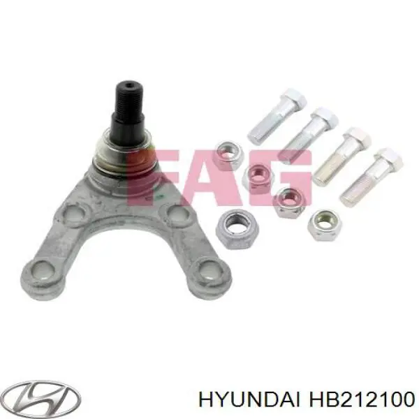 Rótula inferior de suspensión Hyundai/Kia HB212100 precio, desde 34,55 EUR