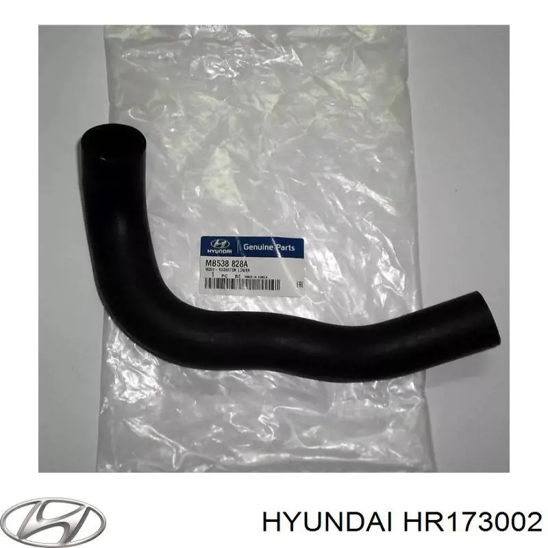 HR173002 Hyundai/Kia manguera refrigerante para radiador inferiora