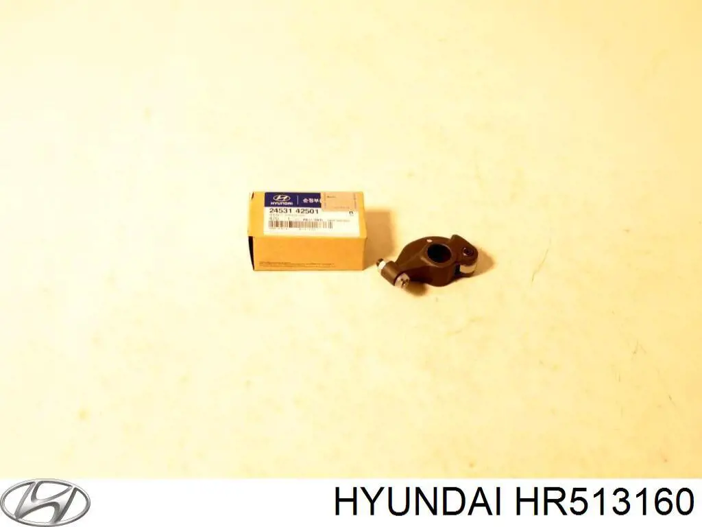 HR513160 Hyundai/Kia tirador de puerta exterior derecho delantero/trasero