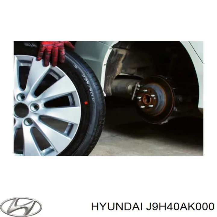 J9H40AK000 Hyundai/Kia