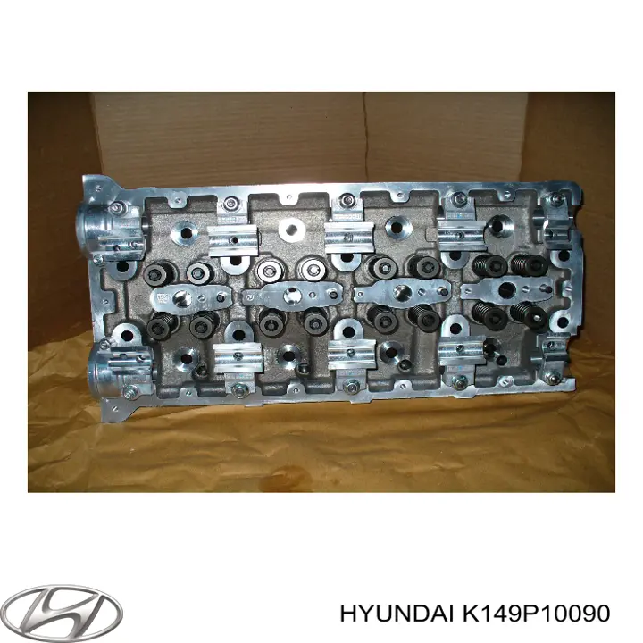 K149P10090 Hyundai/Kia culata