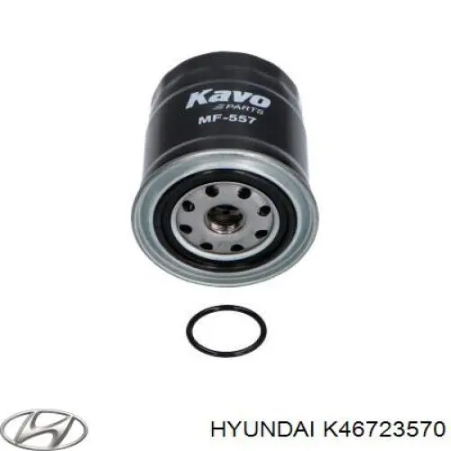 K46723570 Hyundai/Kia Filtro de gasolina