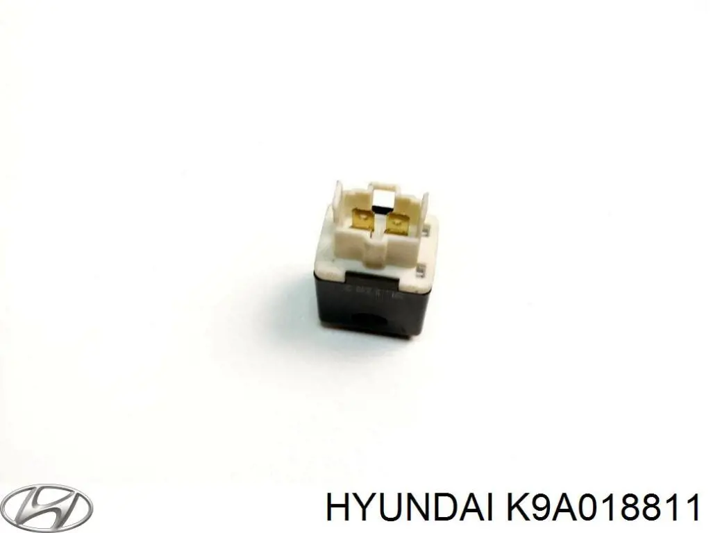 K9A018811 Hyundai/Kia