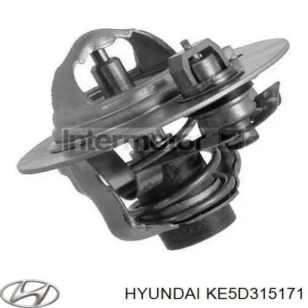 Termostato Hyundai/Kia KE5D315171 precio, desde 10,10 EUR