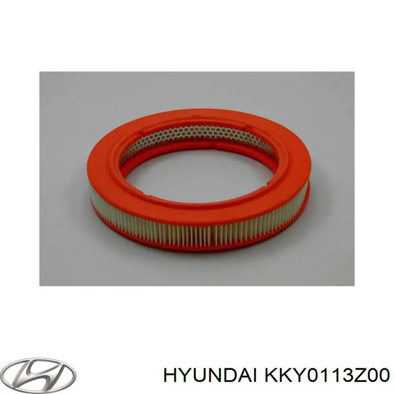 KKY0113Z00 Hyundai/Kia filtro de aire