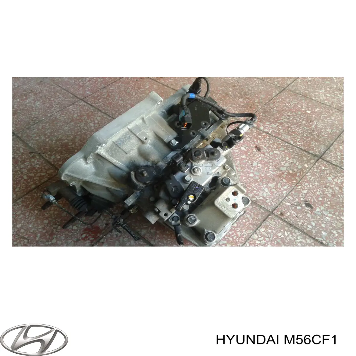 M56CF1 Hyundai/Kia