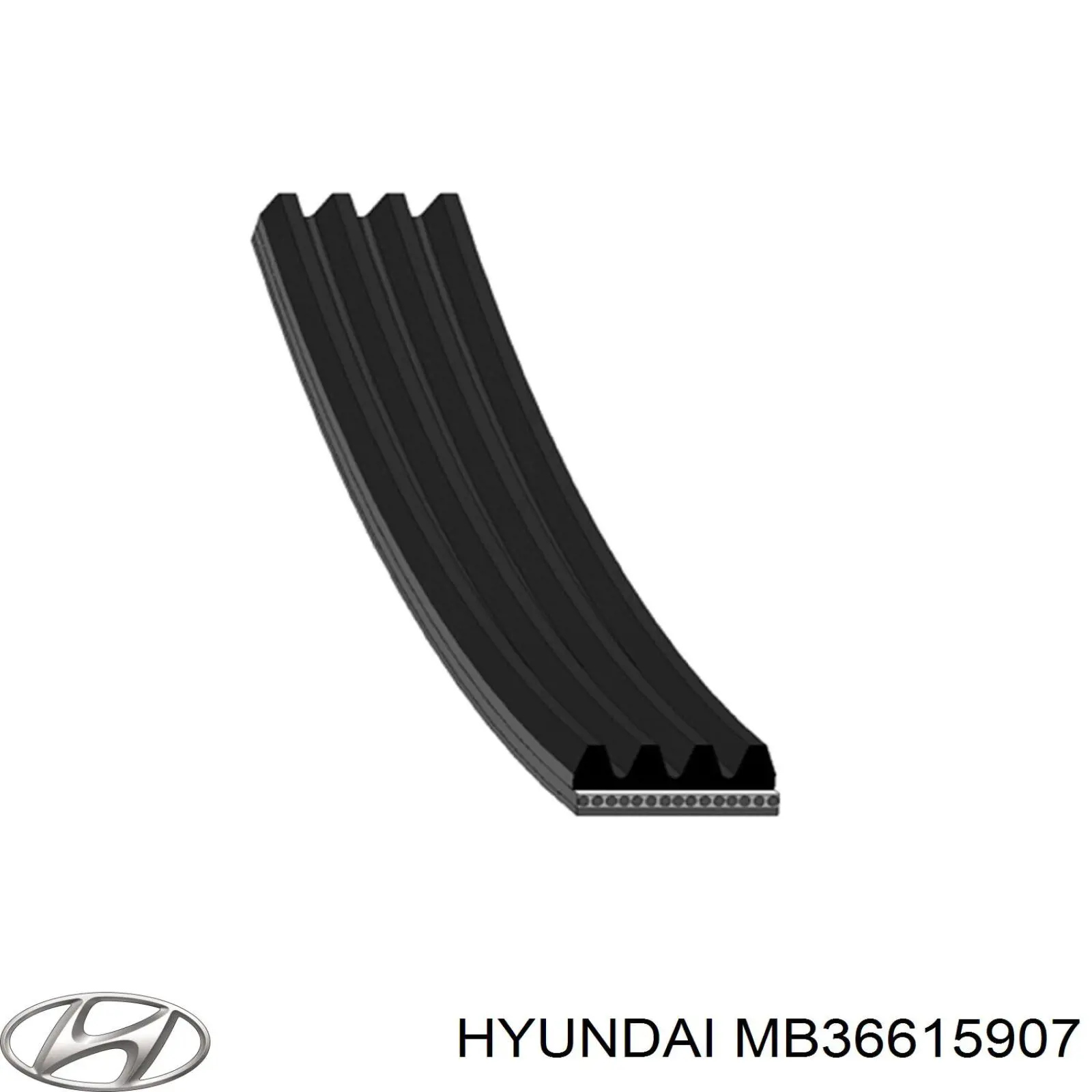 MB36615907 Hyundai/Kia correa trapezoidal