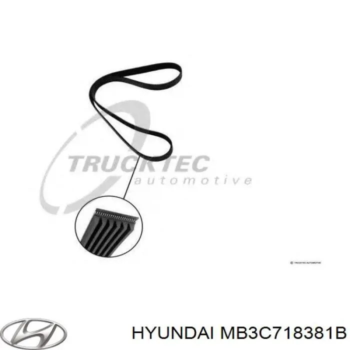 Correa de alternador MB3C718381B Hyundai/Kia