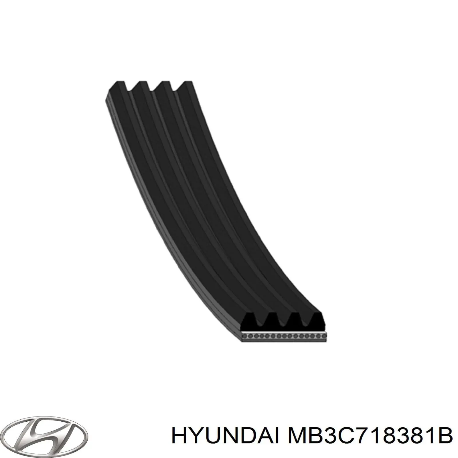 MB3C718381B Hyundai/Kia correa trapezoidal