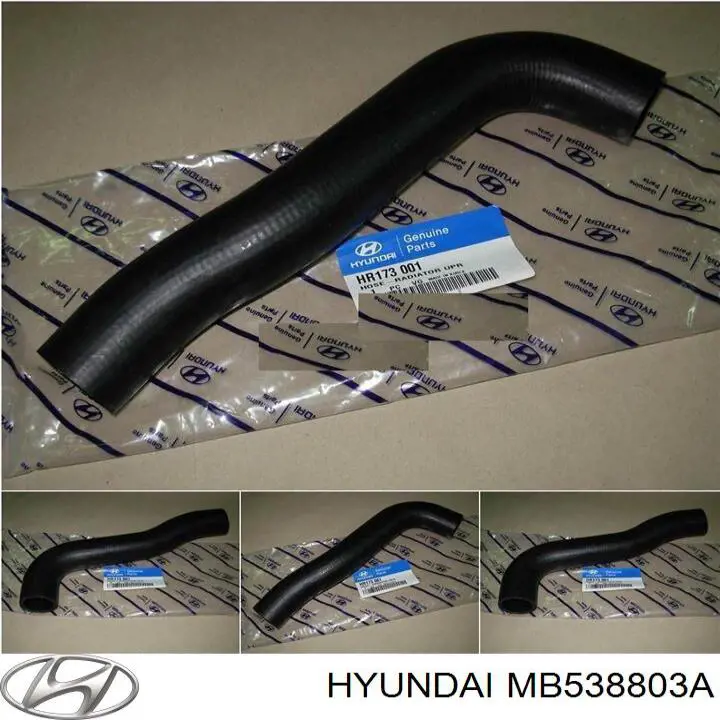 MB538803A Hyundai/Kia tubería de radiador arriba