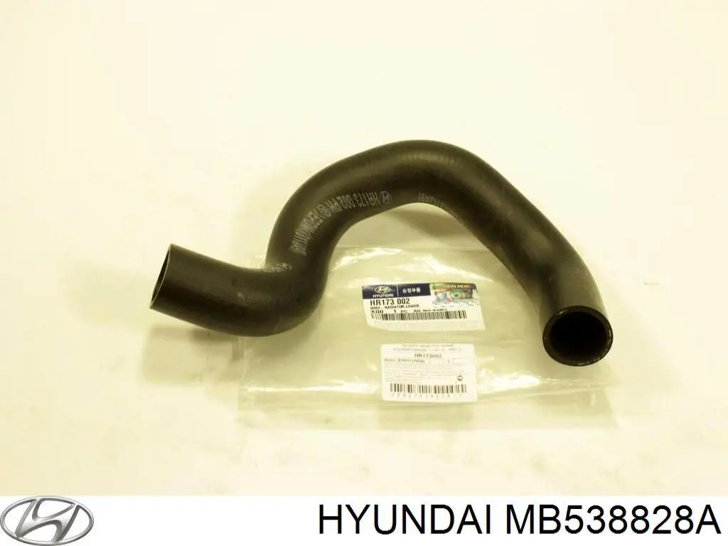 MB538828A Hyundai/Kia manguera refrigerante para radiador inferiora