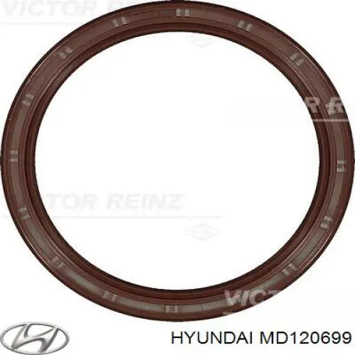 Retén del cigüeñal Hyundai/Kia MD120699 precio, desde 11,58 EUR